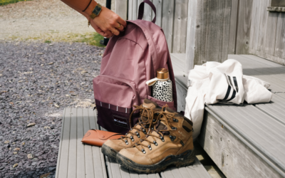 A Walking Break in North Wales: Your Guide to Exploring the Clwydian Hills from Famau Cabins 