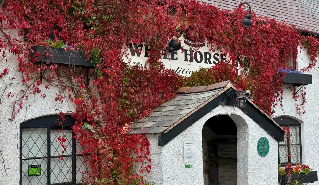 The Perfect Autumn Weekend in North Wales: Walks, Pubs & Places to Explore Near Moel Famau